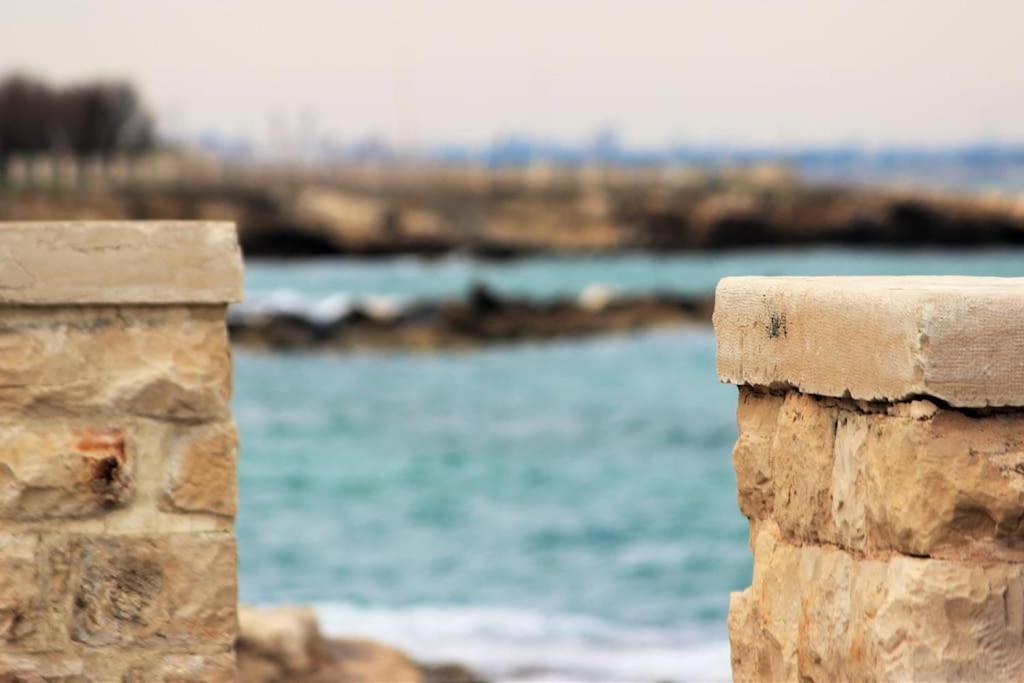 Rubini'S House Otel Giovinazzo Dış mekan fotoğraf