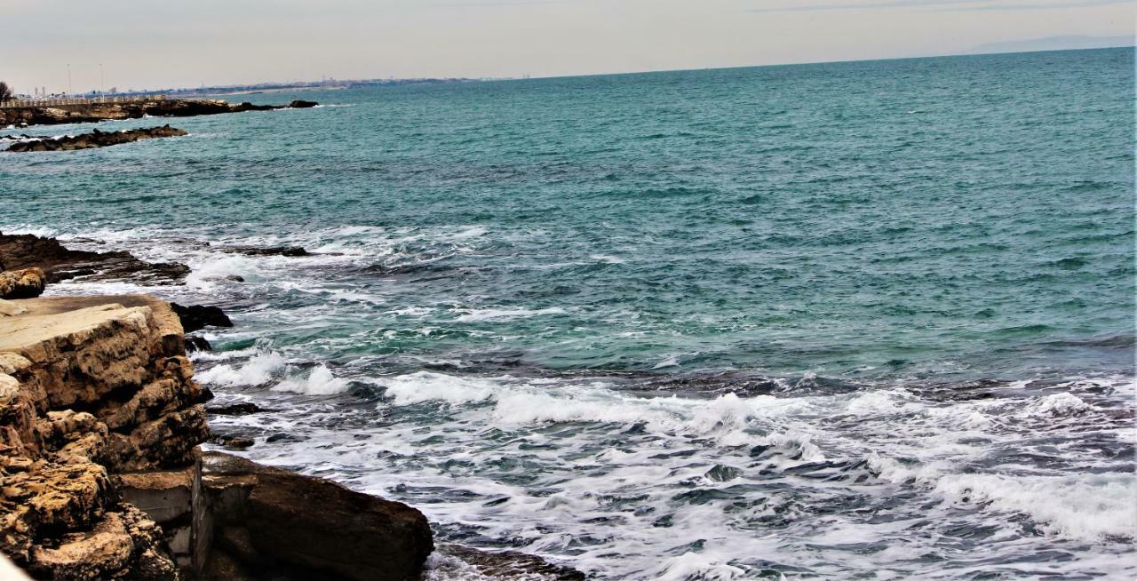 Rubini'S House Otel Giovinazzo Dış mekan fotoğraf